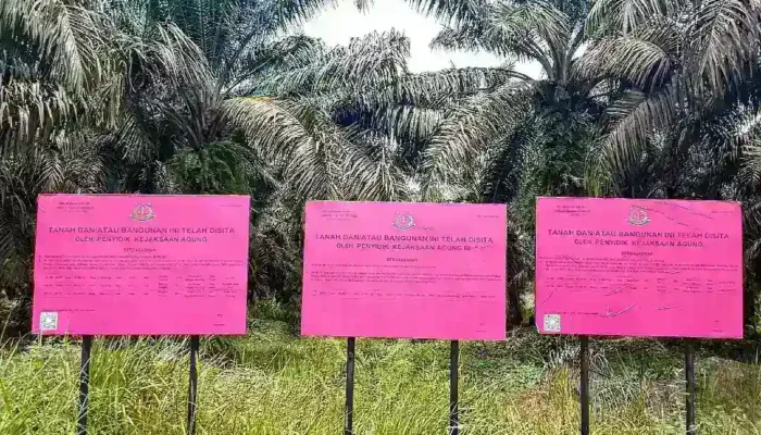 Panen Sawit di Lahan Sitaan Negara Terbongkar, Kendaraan Hilux dan Triton Diduga Digunakan Angkut TBS